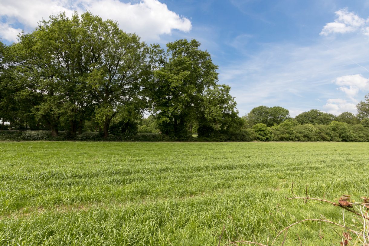 Te koop: Foto Woonhuis aan de Lijsterlaan 31 in Beilen