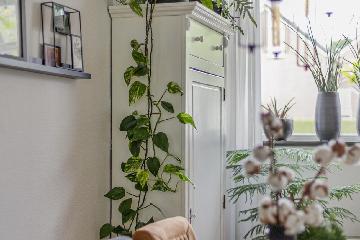 Te koop: Foto Woonhuis aan de Bosweer 38 in Appelscha