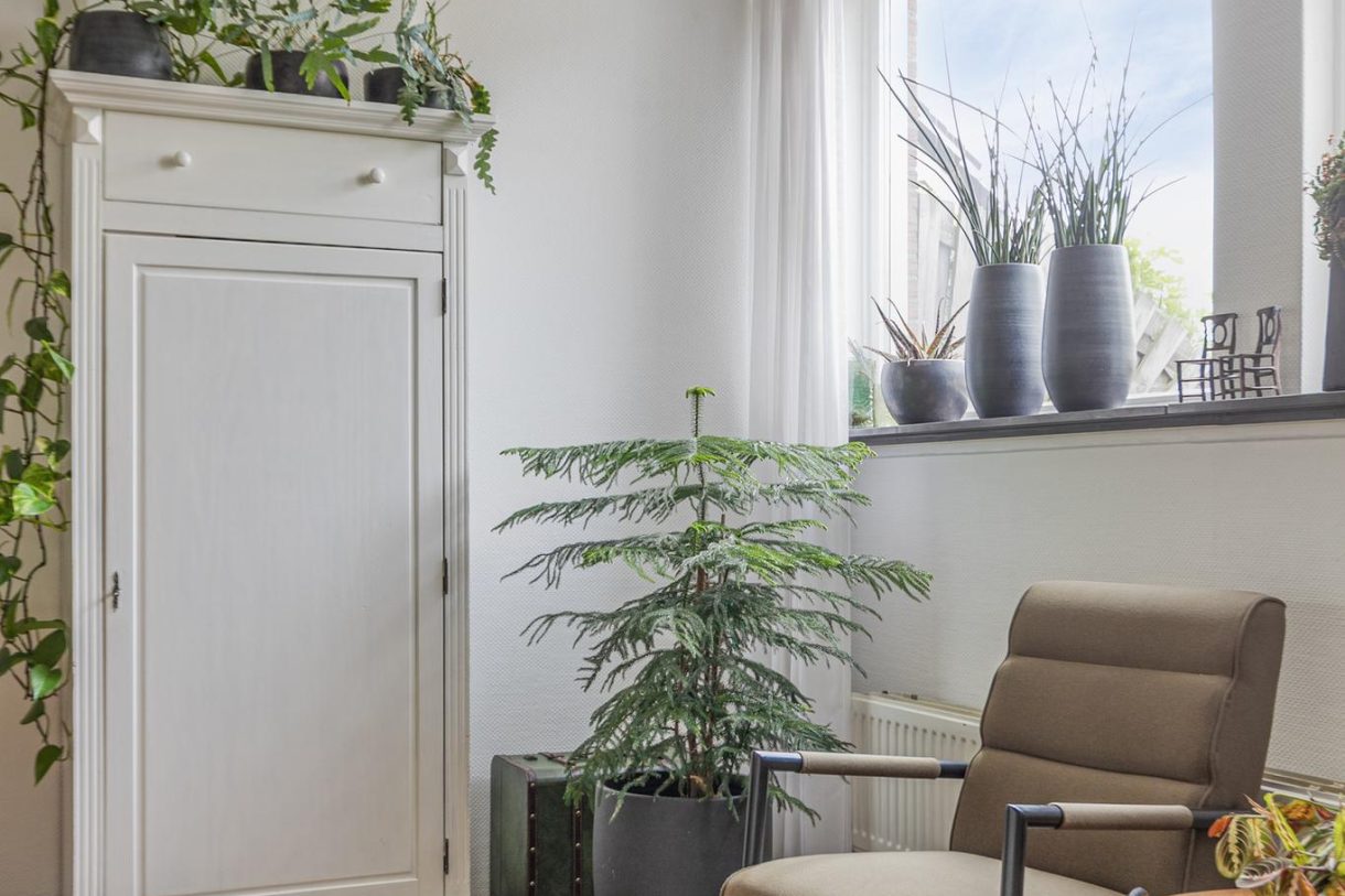 Te koop: Foto Woonhuis aan de Bosweer 38 in Appelscha