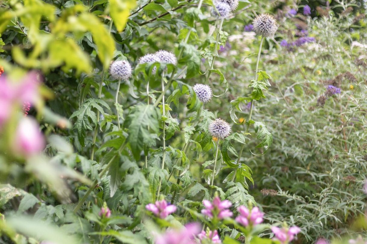Te koop: Foto Woonhuis aan de Bosweer 38 in Appelscha
