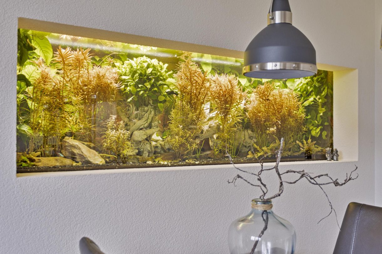 Te koop: Foto Woonhuis aan de Zeepkruidlaan 10 in Beilen