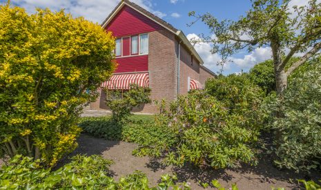 koop  Beilen  Pinksterbloem 2 – Hoofdfoto