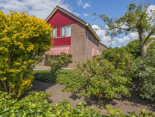 Hoofdfoto van Beilen Pinksterbloem 2