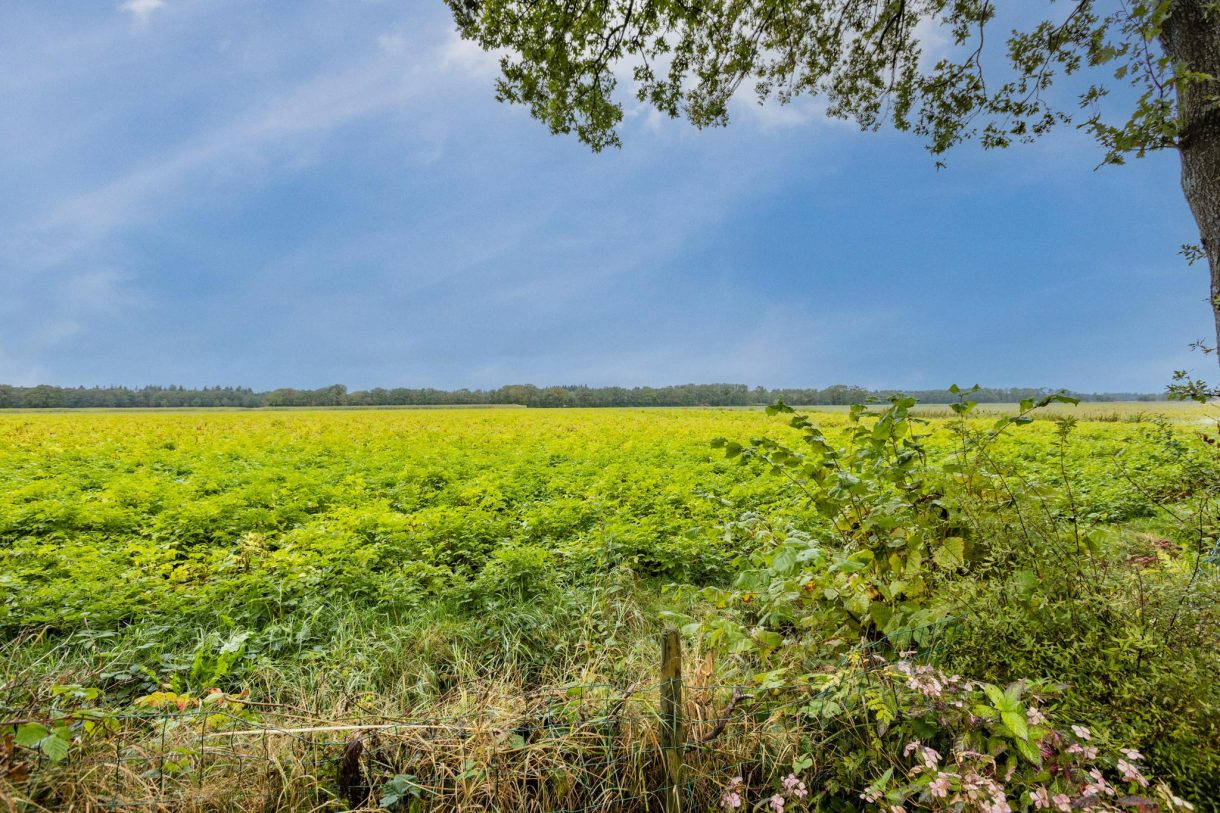 Te koop: Foto Woonhuis aan de Wijsterseweg 9-191 in Spier