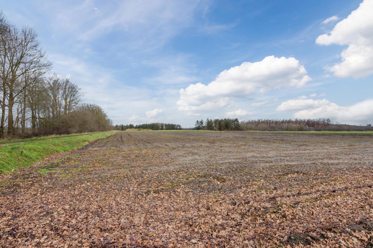 Te koop: Foto Woonhuis aan de Vorrelveen 22 in Beilen