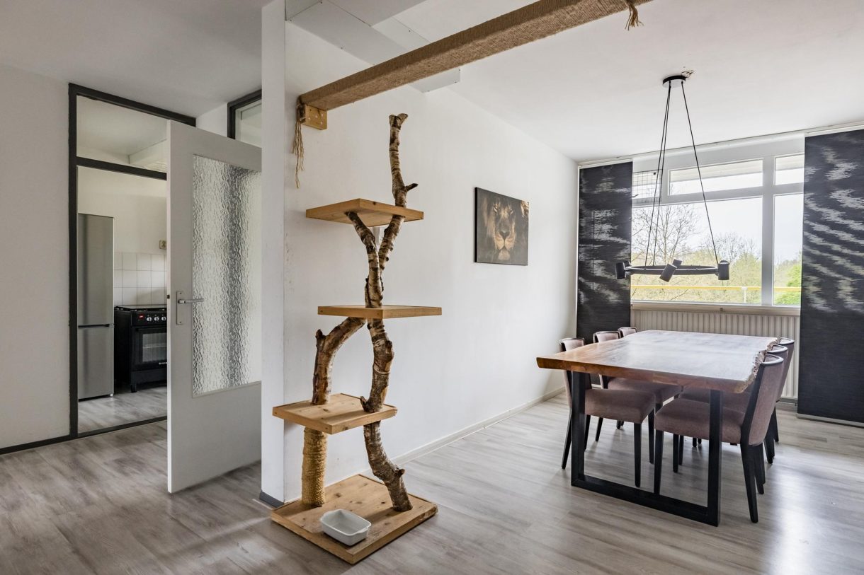 Te koop: Foto Appartement aan de Smetanalaan 224 in Assen