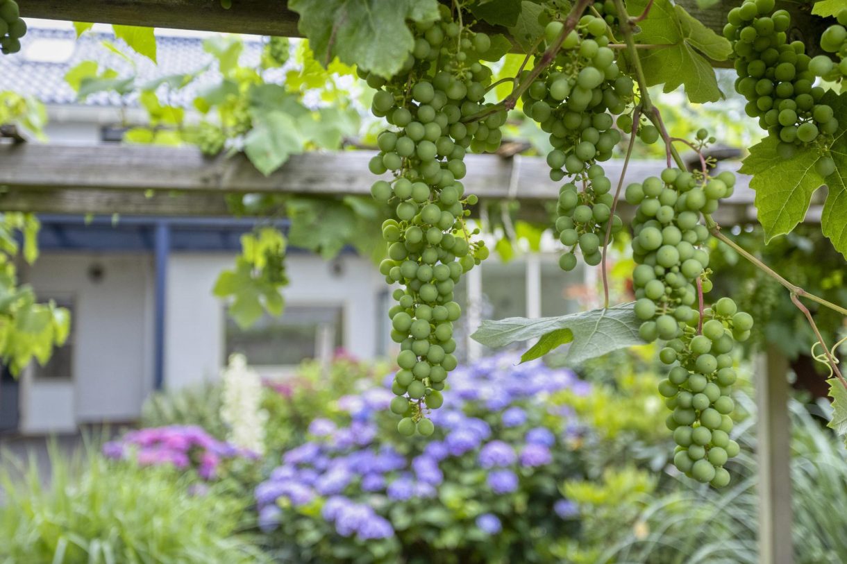 Te koop: Foto Woonhuis aan de Esweg 111 in Beilen