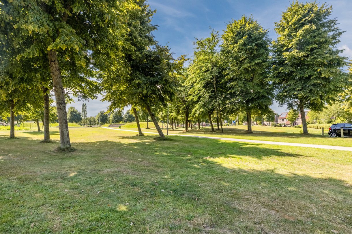 Te koop: Foto Woonhuis aan de Vlinderkleuven 52 in Assen